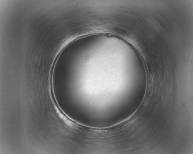 X0000078241439200611101024