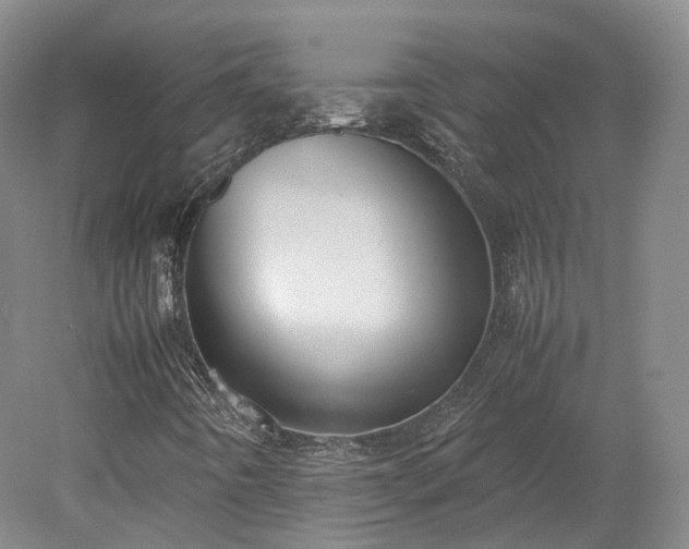 X0000078241442200611101023