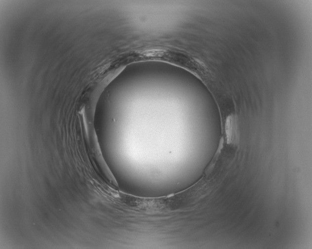 X0000078241443200611101023
