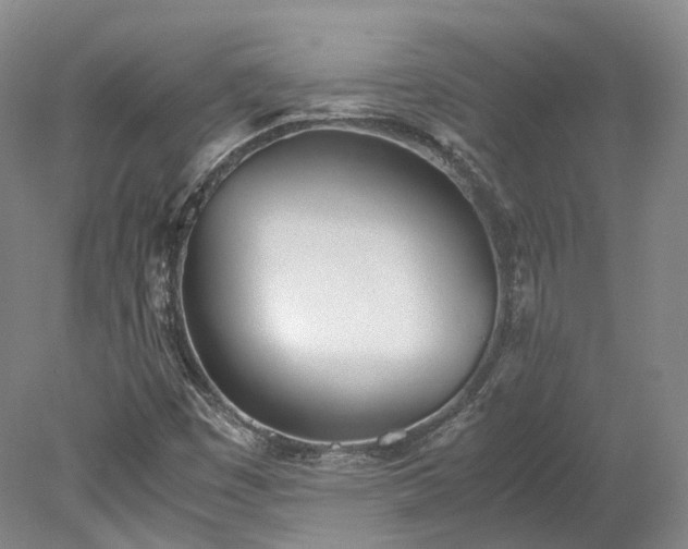 X0000078241449200611101023