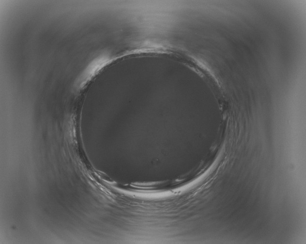 X0000078241455200611101023