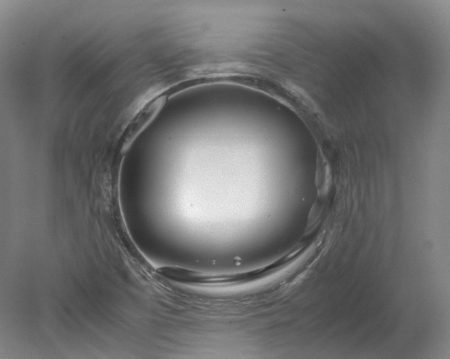 X0000078241457200611101023