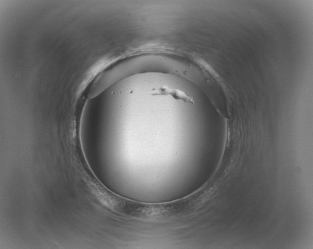X0000078241461200611101023