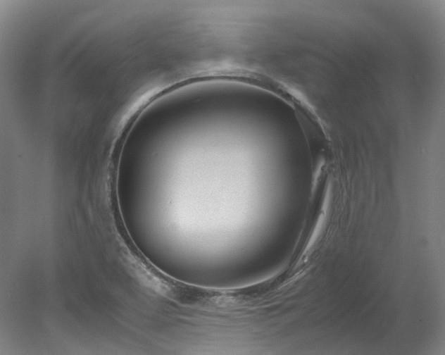 X0000078241463200611101023