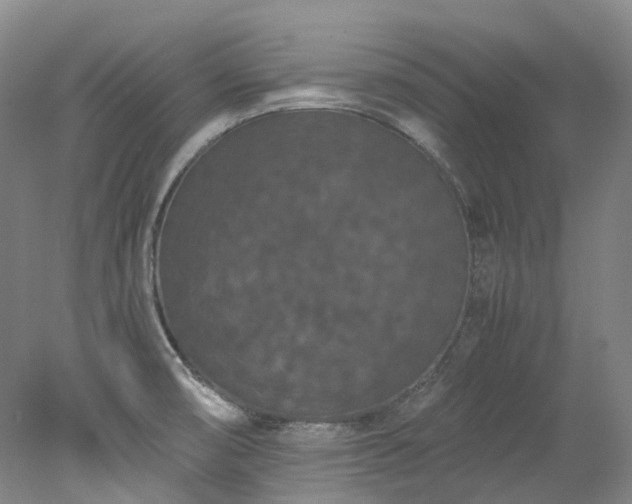 X0000078241474200611101023