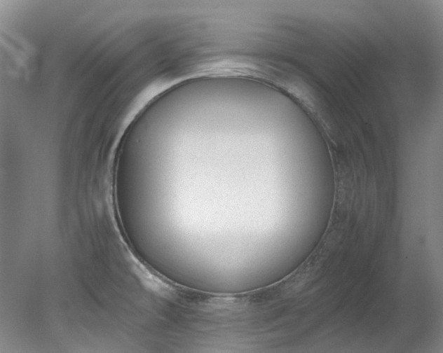 X0000078241478200611101022