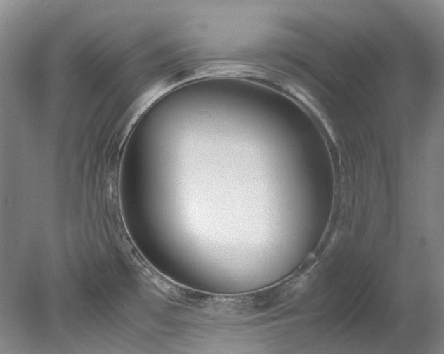 X0000078241481200611101022