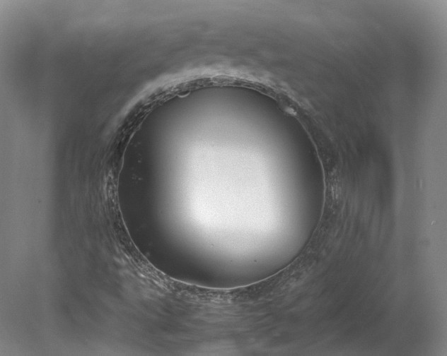 X0000078241495200611101022