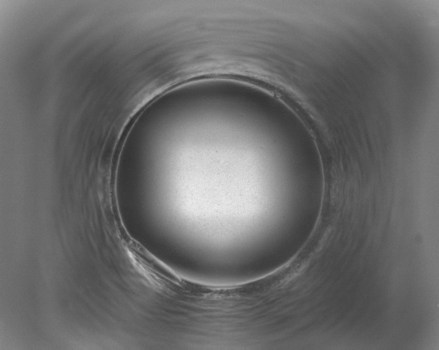 X0000078241513200611101022