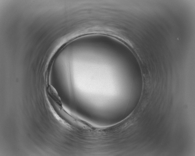 X0000078241515200611101022