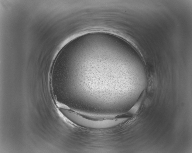 X0000078241535200611101022
