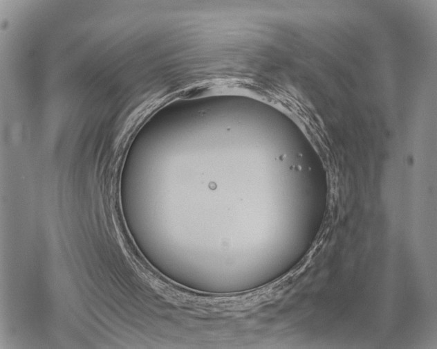 X0000078240001200611171510