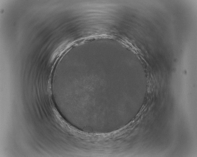 X0000078240002200611171510