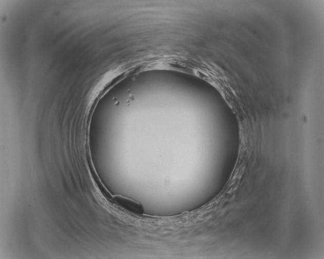 X0000078240003200611171510