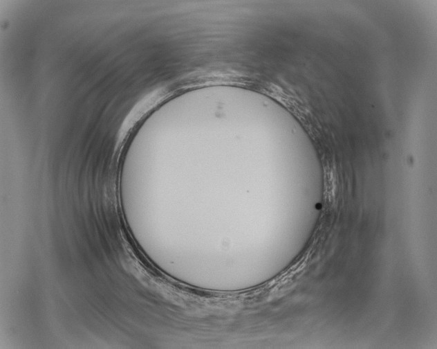 X0000078240004200611171510