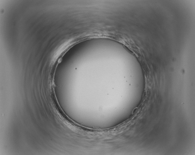 X0000078240005200611171510