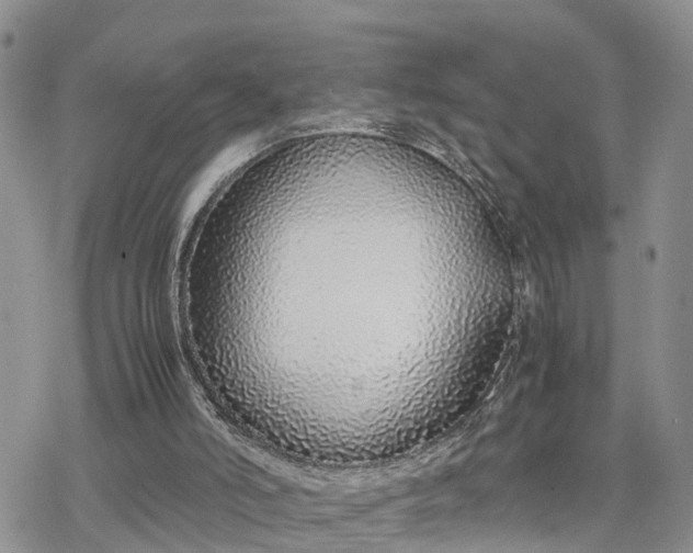 X0000078240006200611171510