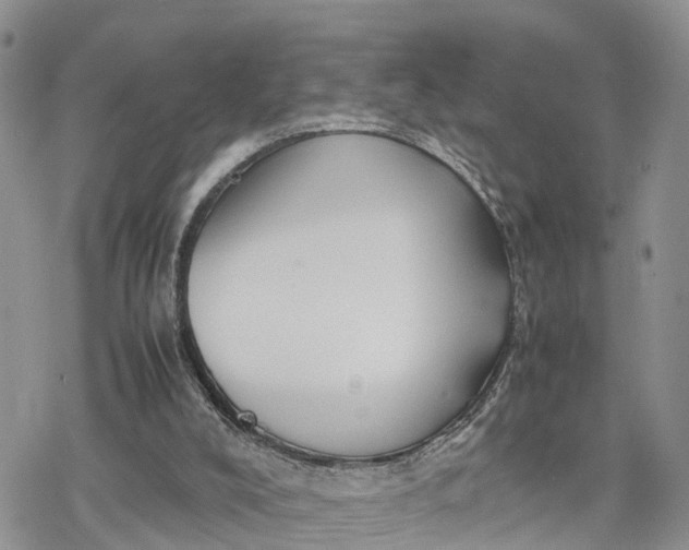 X0000078240008200611171510