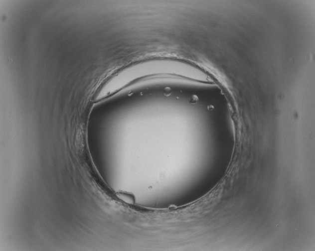 X0000078240009200611171510