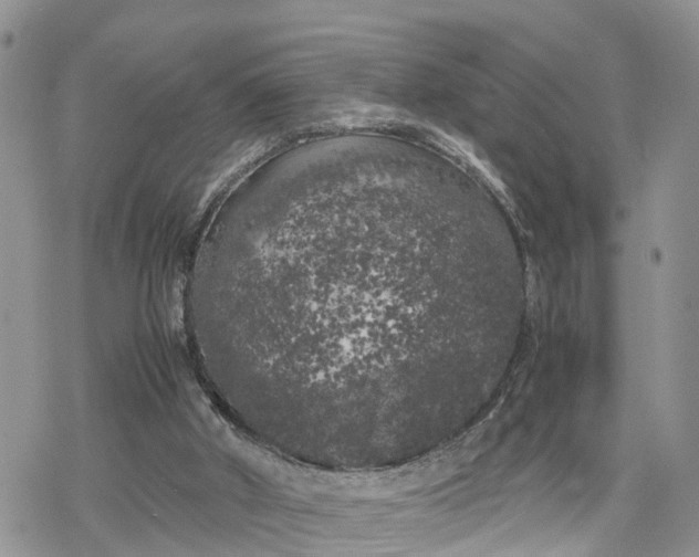 X0000078240010200611171510