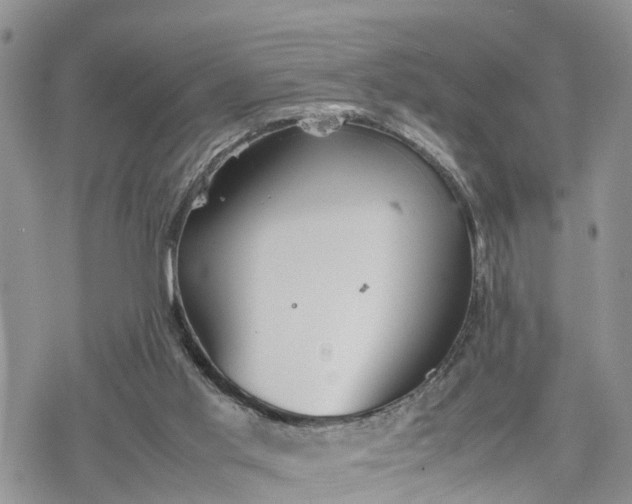 X0000078240013200611171510