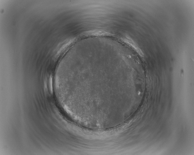 X0000078240014200611171510