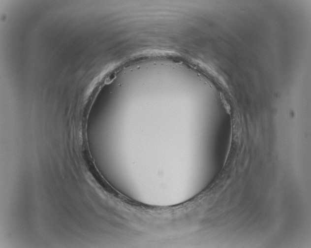 X0000078240015200611171510