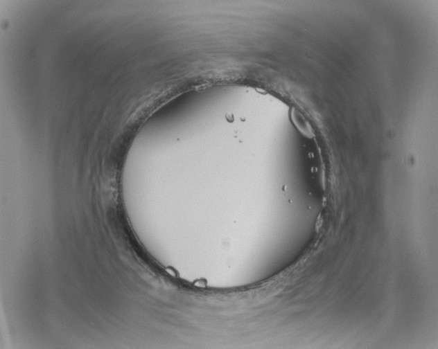 X0000078240017200611171510