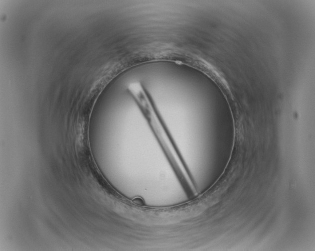 X0000078240018200611171510