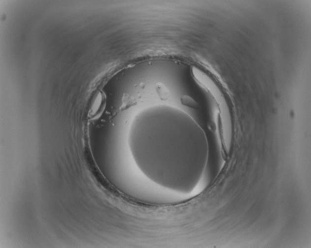 X0000078240019200611171510