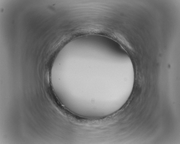 X0000078240021200611171510