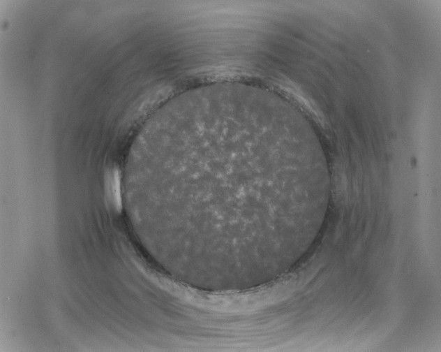 X0000078240022200611171510