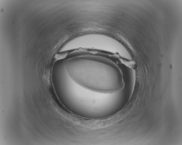 X0000078240023200611171510