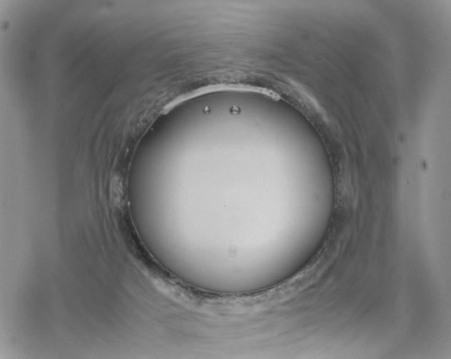 X0000078240025200611171510