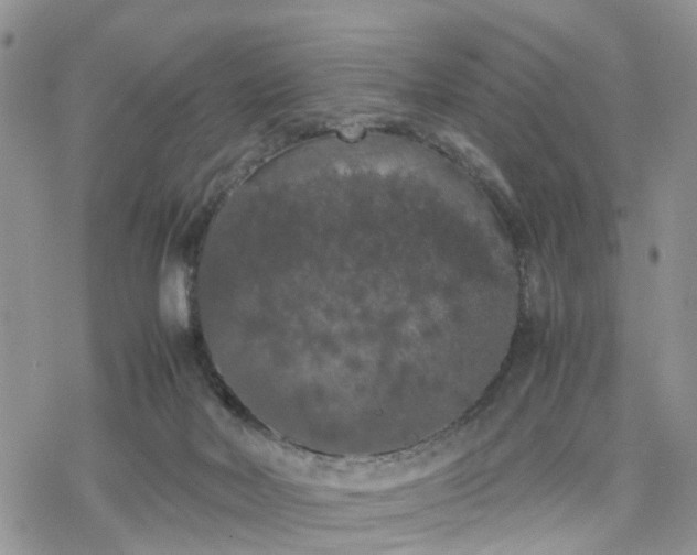 X0000078240026200611171510