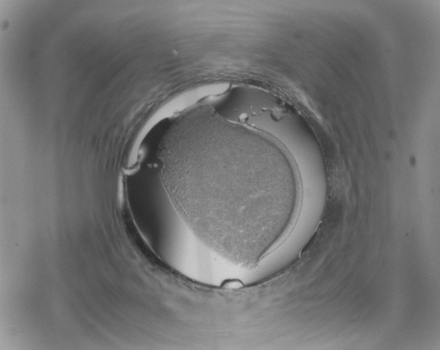 X0000078240027200611171510