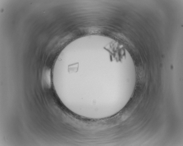 X0000078240028200611171510