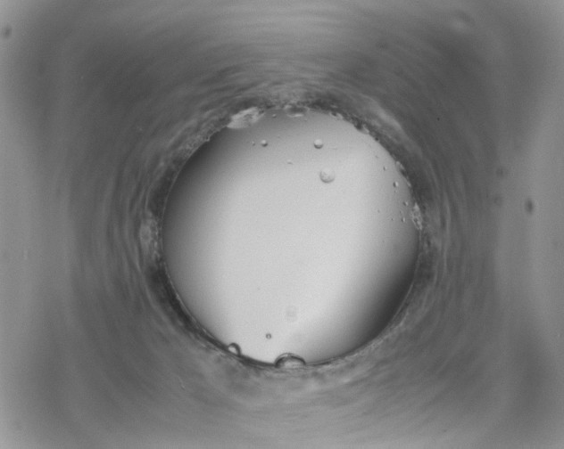 X0000078240029200611171510