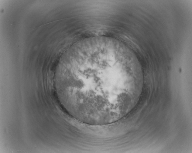 X0000078240030200611171509