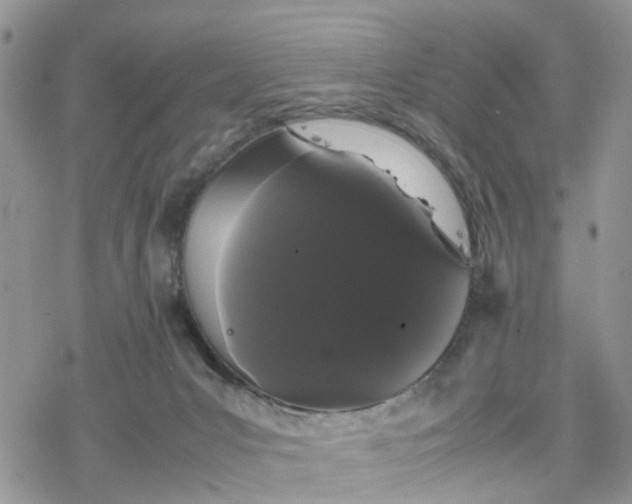 X0000078240031200611171509