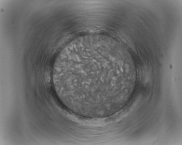 X0000078240032200611171509