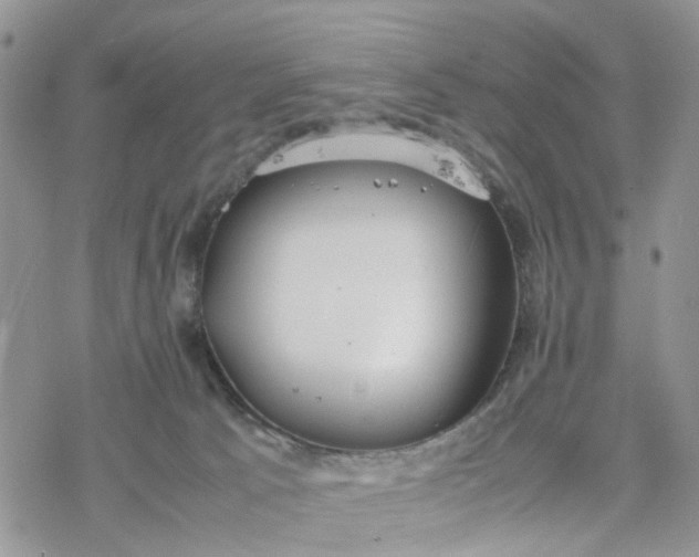 X0000078240033200611171509