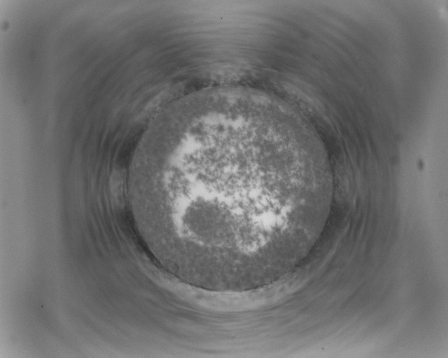 X0000078240034200611171509