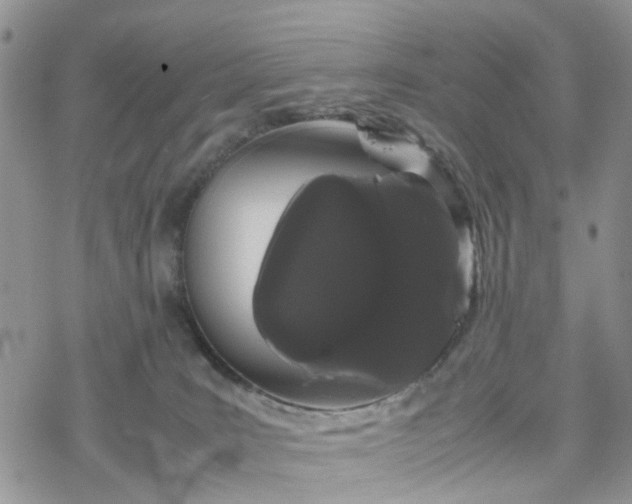 X0000078240035200611171509