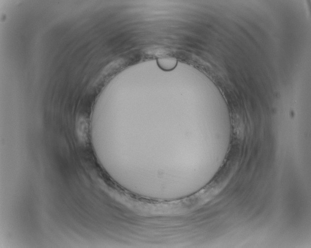 X0000078240036200611171509