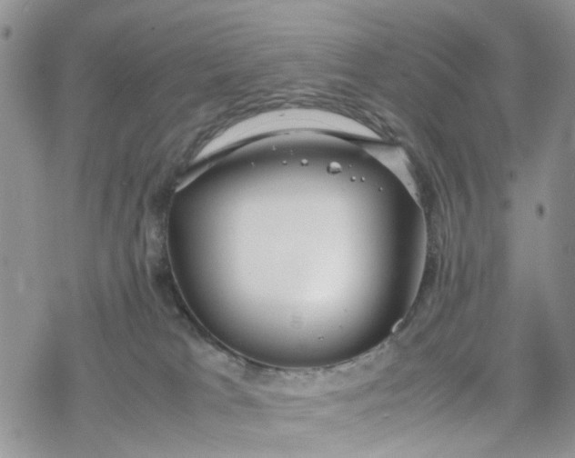 X0000078240037200611171509