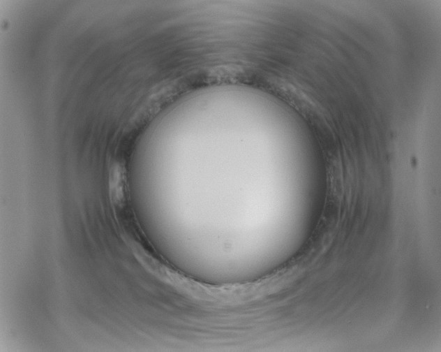 X0000078240038200611171509