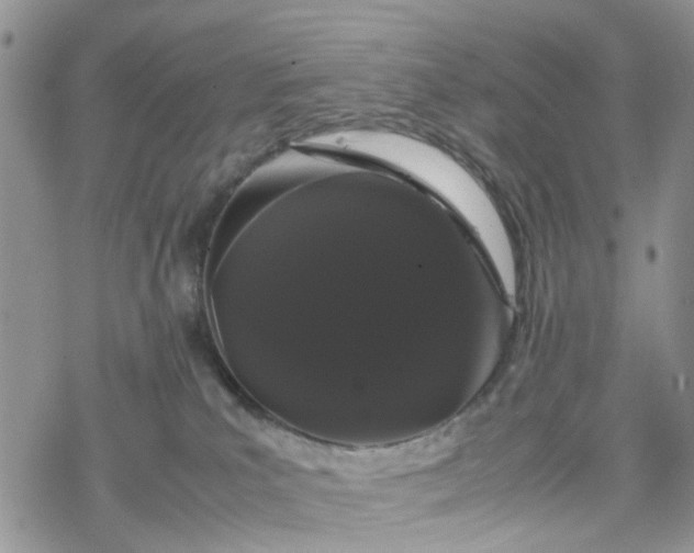 X0000078240039200611171509