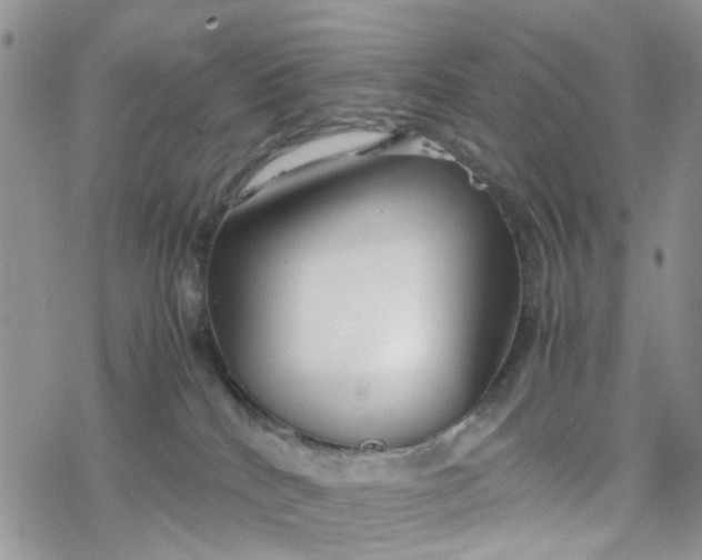 X0000078240040200611171509