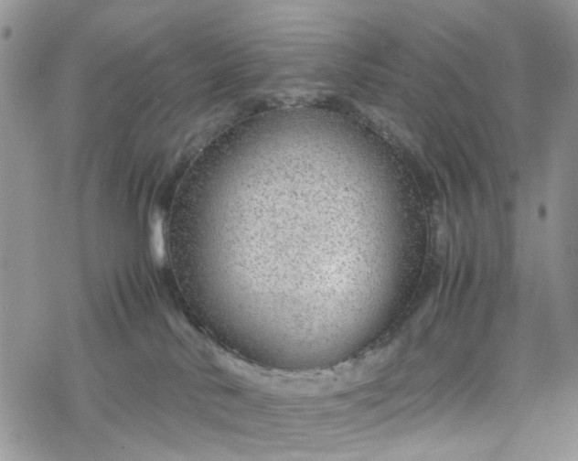 X0000078240042200611171509